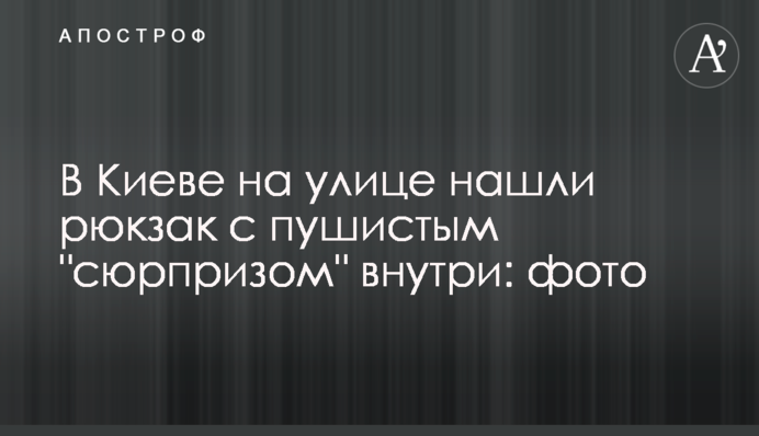 В Киеве на улице нашли рюкзак с пушистым 