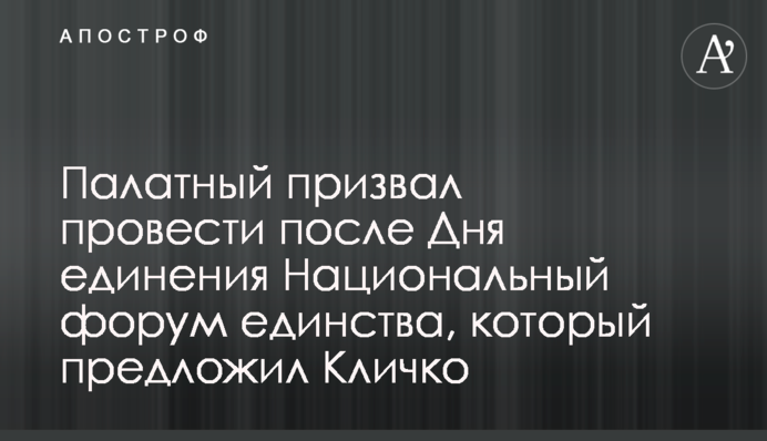 Палатный призвал провести после Дня единения Национальный форум единства, который предложил Кличко