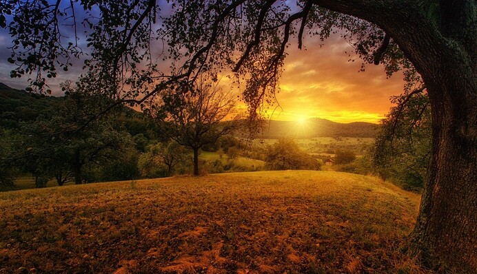 Погода грає за правилами Атлантики: синоптик дав прогноз на тиждень