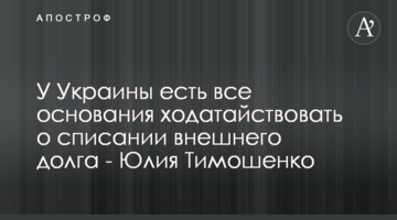 Україна має всі підстави клопотати про списання зовнішнього боргу - Юлія Тимошенко