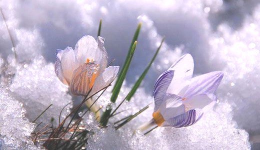 Боротьба весни із зимою: синоптик розповіла про погодні 