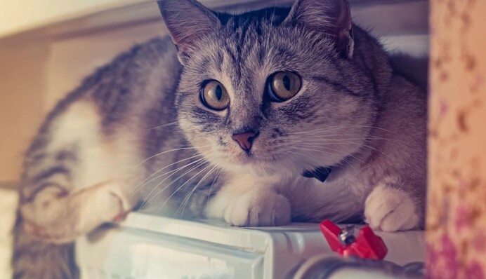 Вдарить по кишені? Українцям розповіли про вартість наступного опалювального сезону