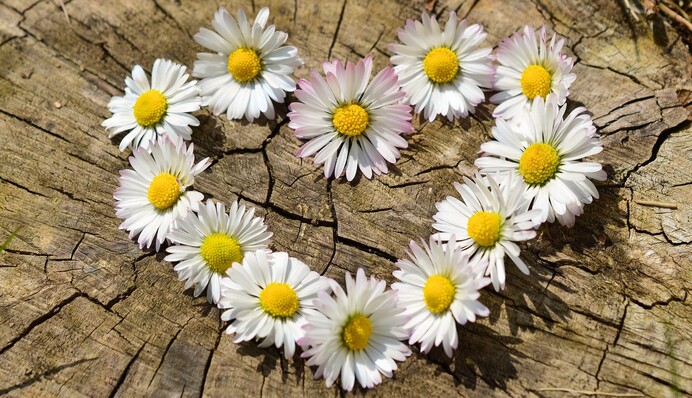 Когда в Киеве ударит 20-градусная жара: прогноз по дням на всю весну