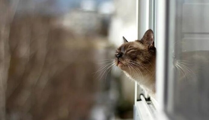 Місцями дощі та потепління до +11: яким регіонам України пощастить з погодою