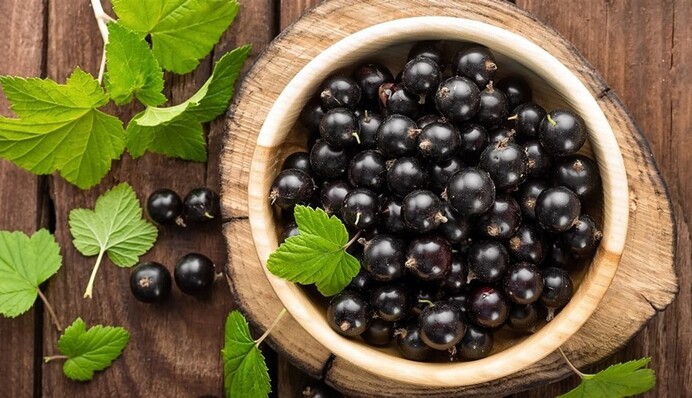 Як збити високий тиск: медики назвали популярну ягоду