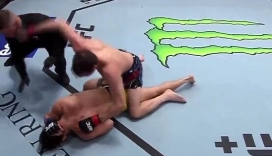 Шокирующие кадры: боец MMA во время боя отправил рефери в нокдаун, видео