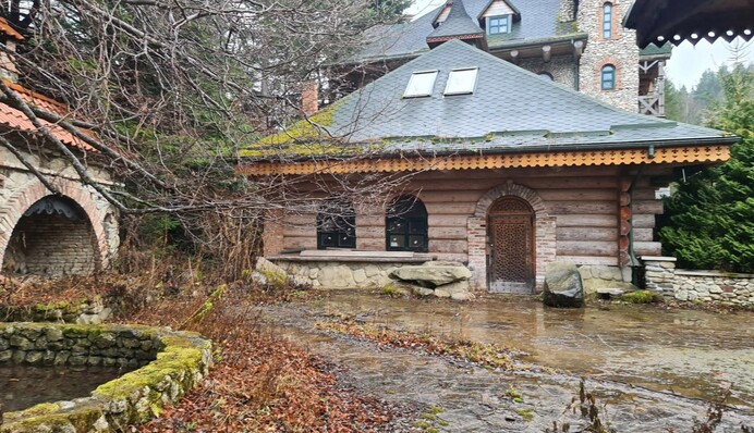 Гниє і руйнується: у мережі показали фото занедбаної дачі Ющенка у Карпатах