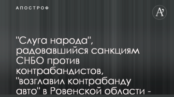 "Слуга народа", радовавшийся санкциям СНБО против контрабандистов, "возглавил контрабанду авто" в Ровенской области - СМИ