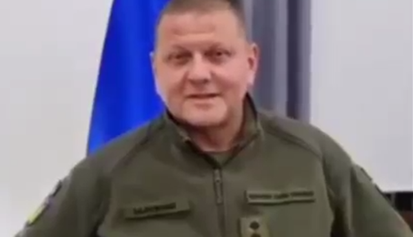 Главнокомандующий ВСУ обратился к оккупантам: украинцы миролюбивые, но врага будут убивать, видео