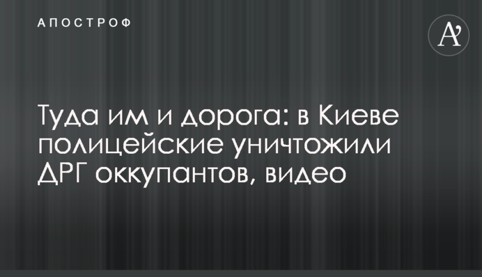 Туди їм і дорога: у Києві поліцейські знищили ДРГ окупантів, відео
