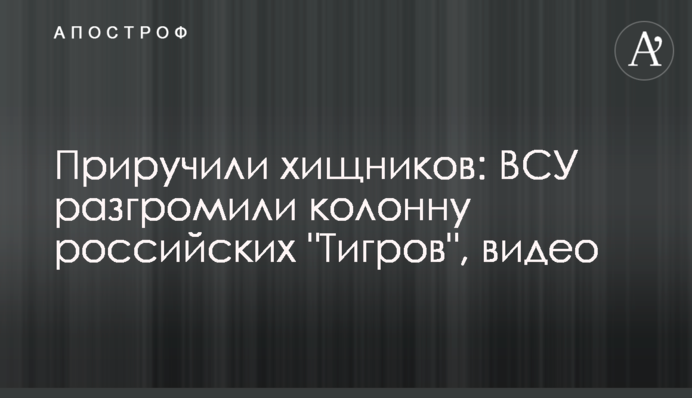 Приручили хижаків: ЗСУ розгромили колону російських 