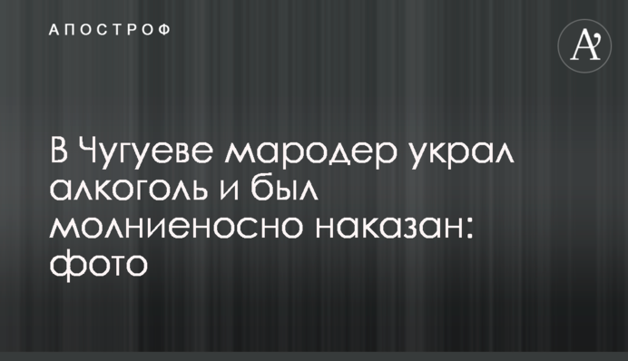 У Чугуєві мародер украв алкоголь і був блискавично покараний: фото