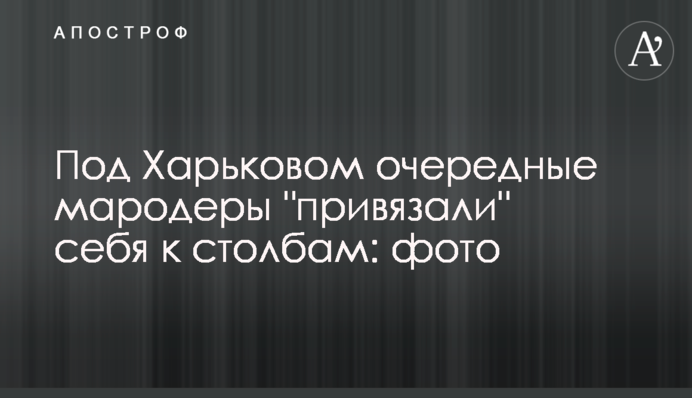 Под Харьковом очередные мародеры 