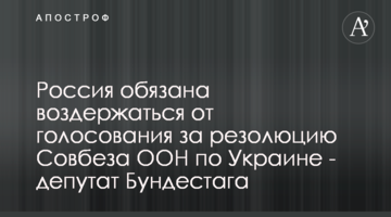 Росія зобов'язана утриматися від голосування за резолюцію Радбезу ООН щодо України - депутат Бундестагу