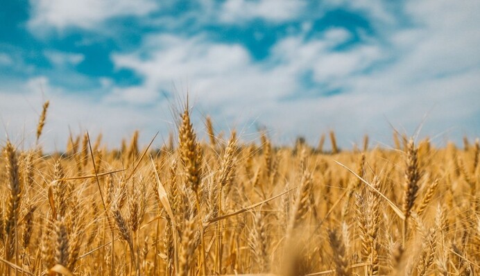 Произойдут большие перемены: астролог рассказала о будущем Украины