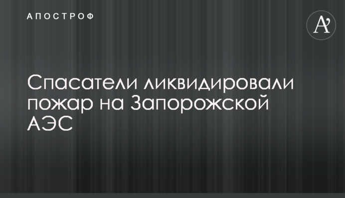 Спасатели ликвидировали пожар на Запорожской АЭС