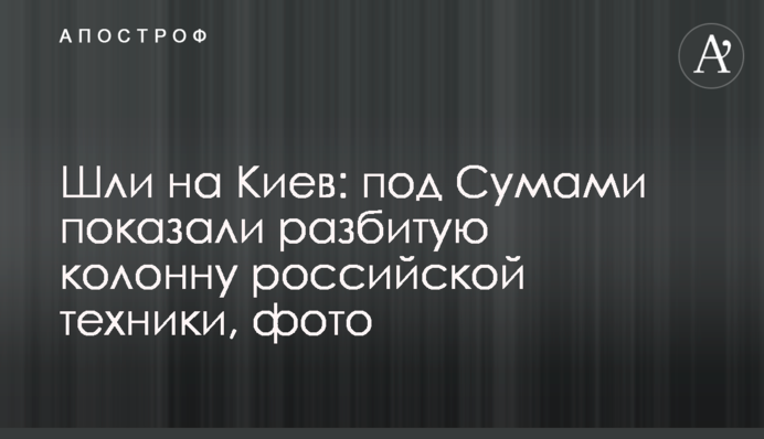 Шли на Киев: под Сумами показали разбитую колонну российской техники, фото