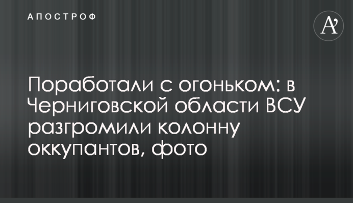Попрацювали з вогником: на Чернігівщині ЗСУ розгромили колону окупантів, фото