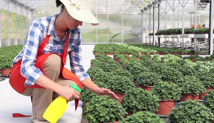 Біженкам з України готові надати роботу у Польщі