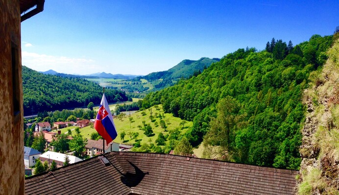 Словакия назначила дополнительные эвакуационные поезда из Украины: расписание