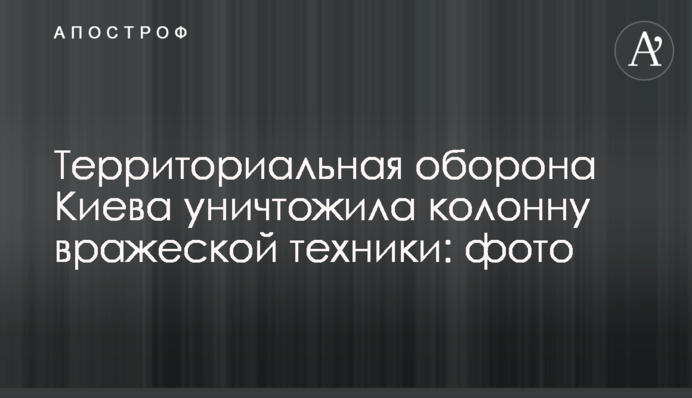 Територіальна оборона Києва знищила колону ворожої техніки: фото