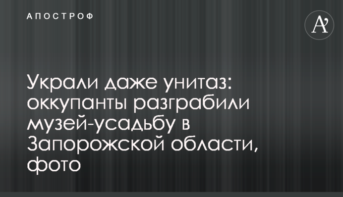Украли даже унитаз: оккупанты разграбили музей-усадьбу в Запорожской области, фото