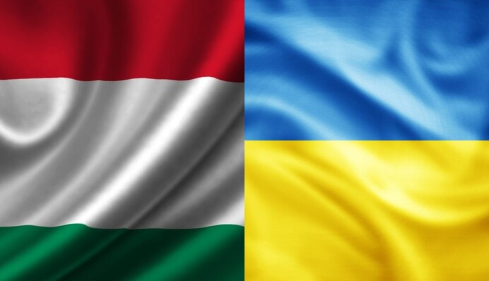 Для тих, хто хоче виїхати через Чоп: які правила діють при в'їзді в Угорщину і чи пустять із твариною