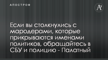 Якщо ви стикнулися з мародерами, які прикриваються іменами політиків, звертайтеся до СБУ та поліції - Палатний