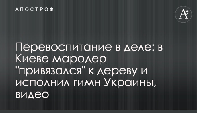 Перевиховання у дії: у Києві мародер 
