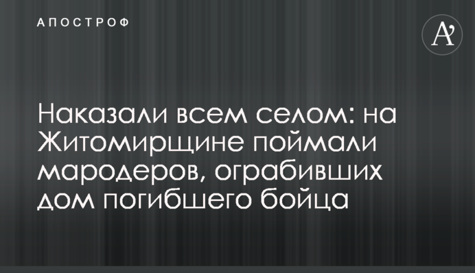 Покарали всім селом: на Житомирщині зловили мародерів, які пограбували будинок загиблого бійця