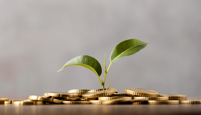 ФОП під час воєнного стану: що дозволили бізнесу и куди звертатися