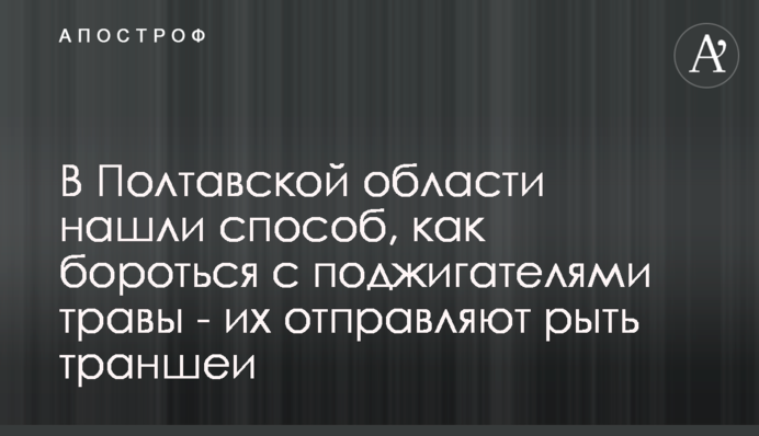 У Полтавській області знайшли спосіб боротися з паліями сухостою - їх направлятимуть рити траншеї