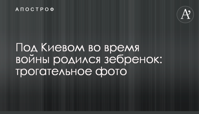 Під Києвом під час війни народилося зебреня: зворушливе фото