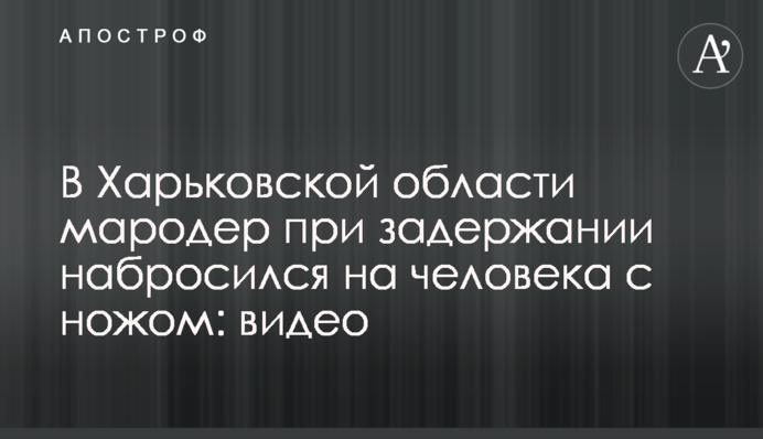 У Харківській області мародер під час затримання накинувся на людину з ножем: відео
