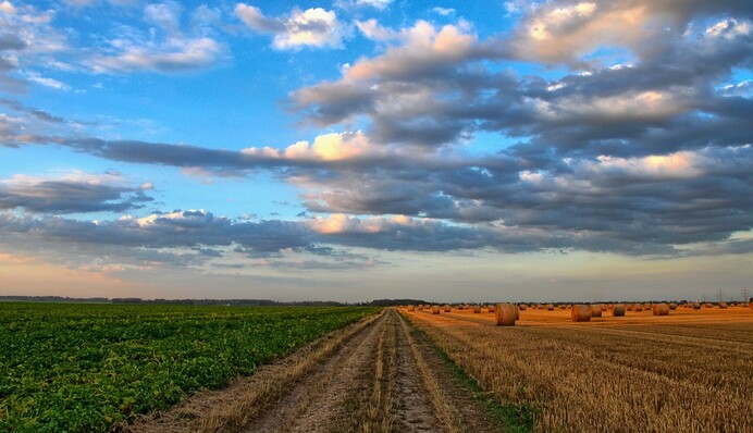 Чи потрібно платити за землю під час війни: українцям дали виразну відповідь