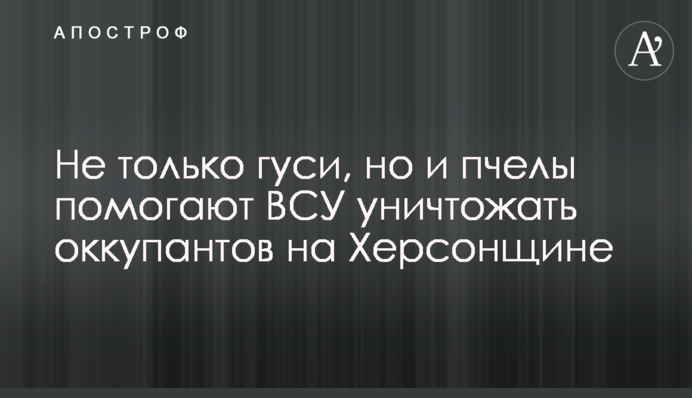 Не лише гуси, а й бджоли допомагають ЗСУ нищити окупантів на Херсонщині