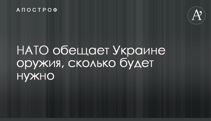 НАТО обещает Украине оружия, сколько будет нужно