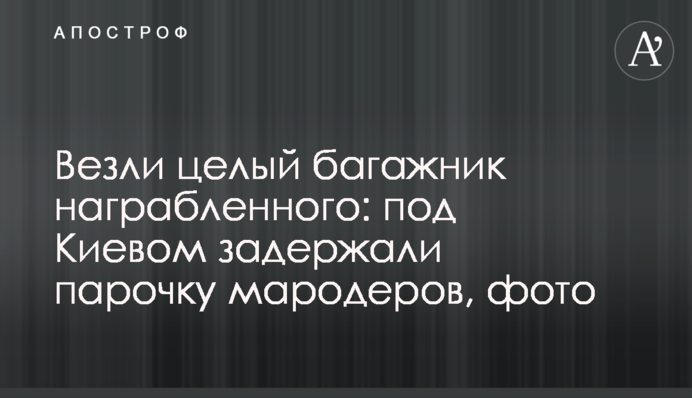 Везли цілий багажник награбованого: під Києвом затримали парочку мародерів, фото