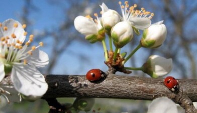 Перерасчет пенсий, отмена налогов и не только: что ждет украинцев в апреле