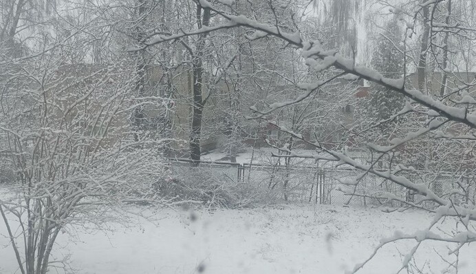 Во Львове выпал снег в апреле: фото и видео от удивленных жителей