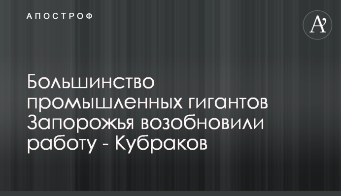 Більшість промислових гігантів Запоріжжя відновили роботу - Кубраков