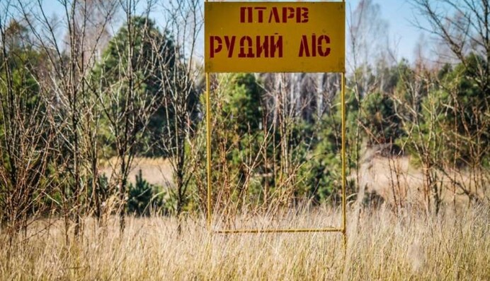 Привезут домой частицу Чернобыля: сколько осталось жить оккупантам из 