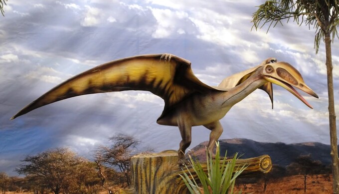 У Чилі виявили рідкісний цвинтар динозаврів, що літають: у чому його унікальність, фото