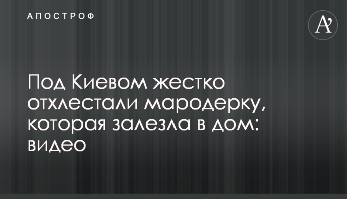 Під Києвом жорстко відхлестали мародерку, яка залізла в дім: відео
