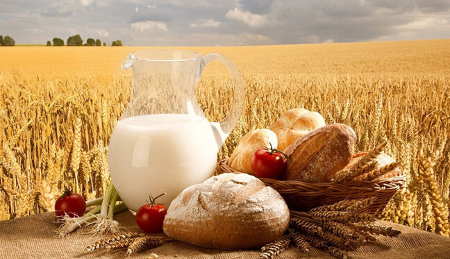 Оккупанты уничтожают украинский агропром: грозит ли нам голод