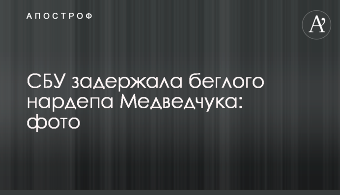 СБУ задержала беглого нардепа Медведчука: фото