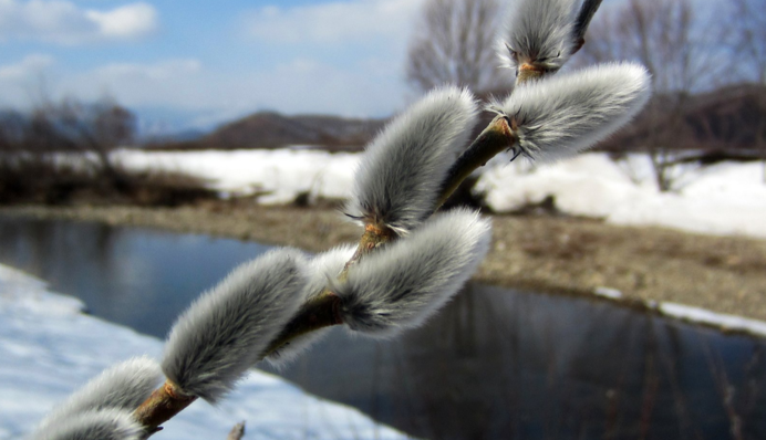 Часть Украины завалит снегом: карта и прогноз погоды до Вербного воскресенья