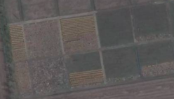 На супутникових знімках Херсона знайшли 800 нових могил