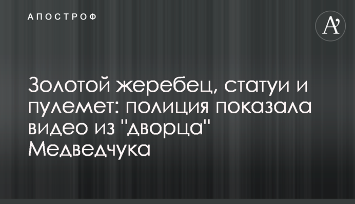 Золотий жеребець, статуї та кулемет: поліція показала відео з 