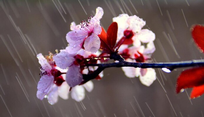 Україну до Великодня накриють зливи з грозами: прогноз погоди по днях